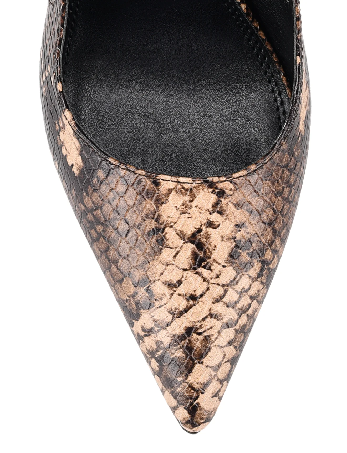 Cipriani Stiletto Pump - Brown Snake Leather - Image 4